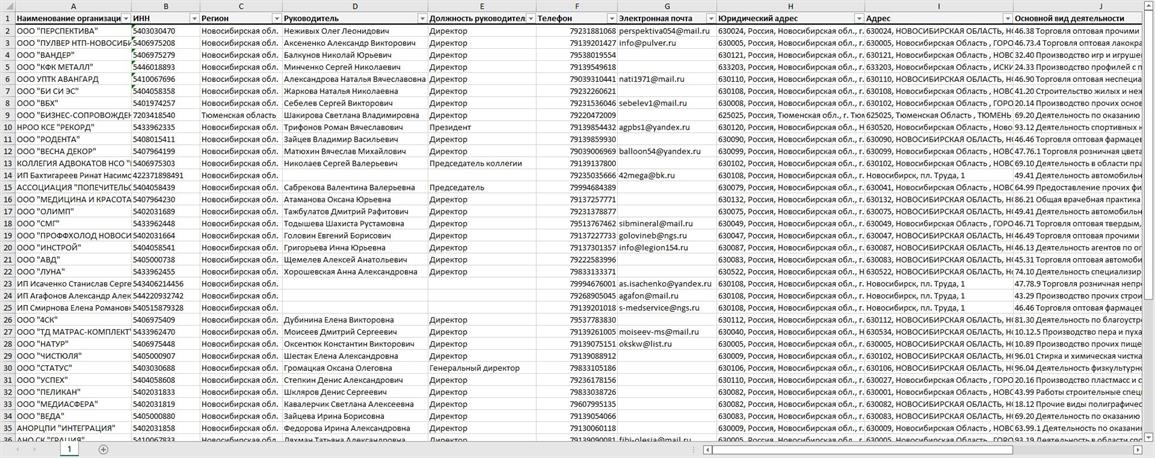 База директоров компаний Новосибирска. Актуальная база мобильных номеров руководителей для рекламы